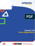 Anexo 3.b - Fase Diagnóstico