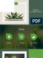 Weeds Classification
