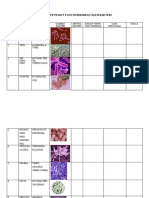 Analisis Penyakit Oleh Bakteri 1