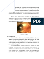 DEFINISI DAN EPIDEMIOLOGY PTERYGIUM