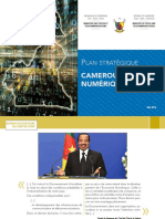 Plan-stratégique-Cameroun-Numérique-2020