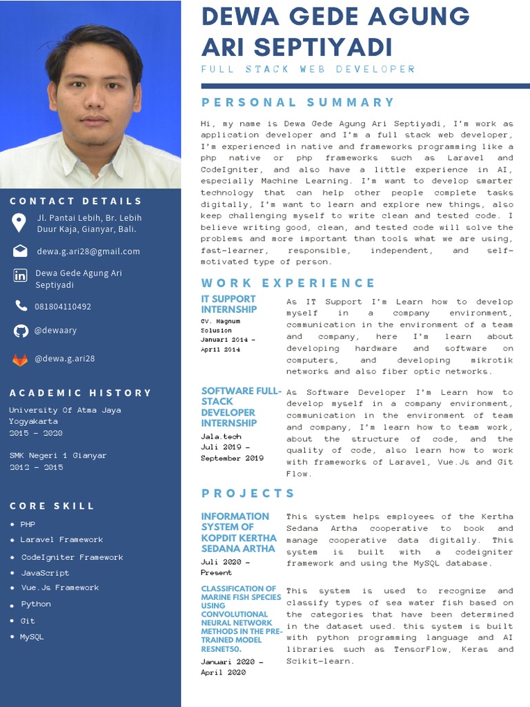 Full Stack Developer Profile and Skills | PDF | Programmer | Computer ...