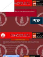 PDF Caso Well y Asociados DD - PDF