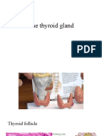 Thyroid Gland Disorders and Imaging