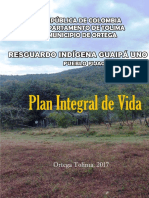 Plan - de - Vida Pijaos