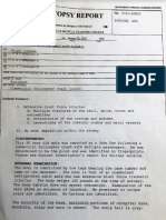 Ara Zobayan Autopsy Report PDF