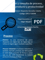 Investigación y Consulta de PROCESO