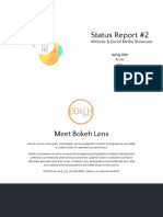 Status Report 2 - Template PDF