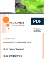 RAPACES.pdf