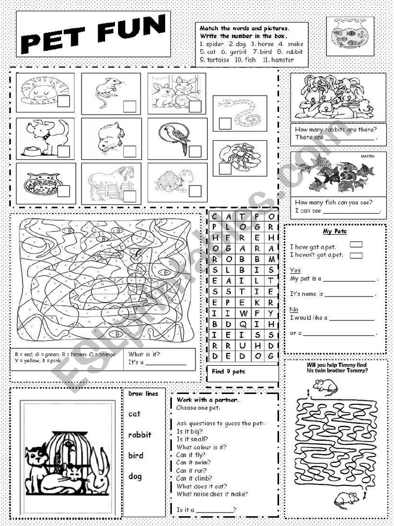 Pet Exercises | PDF