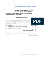 rpt_RevisionCurricularDebe_vfinal (2).pdf