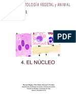 2-1 - Atlas-Celula-04-Nucleo