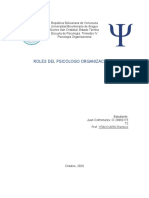 Rol Del Profesional Organizacional