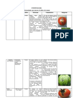 Enfermedades Que Atacan Al Cultivo Del Tomate Fitopatologia