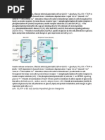 Cirrhosis Pathogenesis And Complications Calgary Guide Pdf