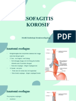 ESOFAGITIS KOROSIF