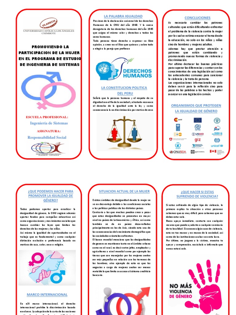 Triptico Sistemas Ii Ciclo | PDF | Igualdad de género | Estudios de género