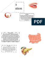 Parts of digestion overview