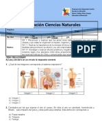 Prueba de Ciencias Naturales 5