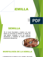 Semilla: morfología, estructura interna y germinación