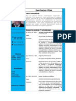 Curriculum de 10 Hiraldo Mantenimiento