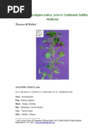 Download Acalypha indica - medicinal properties by Santosh Ramchandra Mhatre SN48228035 doc pdf
