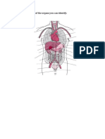 Write The Names of The Organs You Can Identify