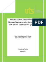 Resumen Libro Aplicación de las Normas Internacionales de Auditoria NIA