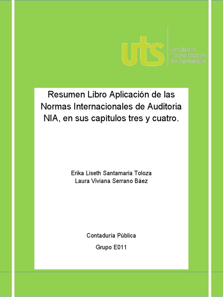 Resumen Libro Aplicación de Las Normas Internacionales de Auditoria NIA ...