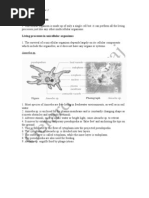 Download Chapter 22-23 by Gerard Bio SN48229015 doc pdf