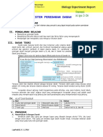 Laporan Biologi - Sistem Peredaran Darah