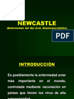 NEWCASTLE.pdf