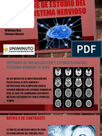 Métodos de Estudio Del Sistema Nervioso