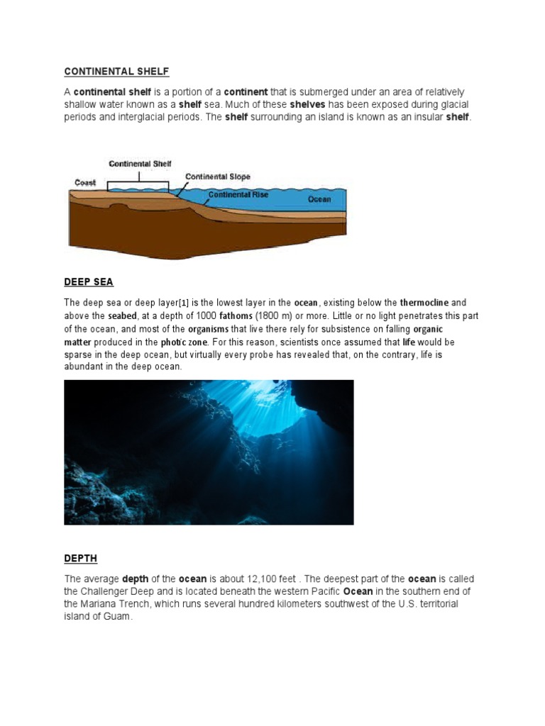 Understanding Continental Shelves and Deep Sea | PDF