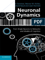 Neuronal Dynamics From Single Neurons to Networks and Models of Cognition.pdf