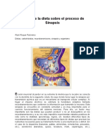 Lectura7 Proceso Sinapsis