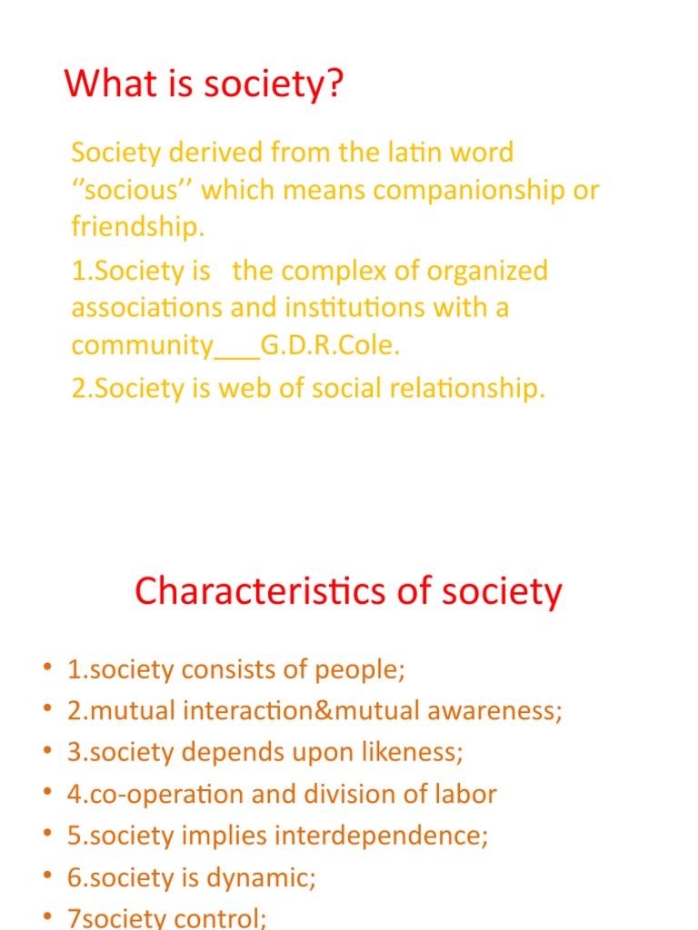 SOCIETY DEFINITION EXPLANATION visual data 3