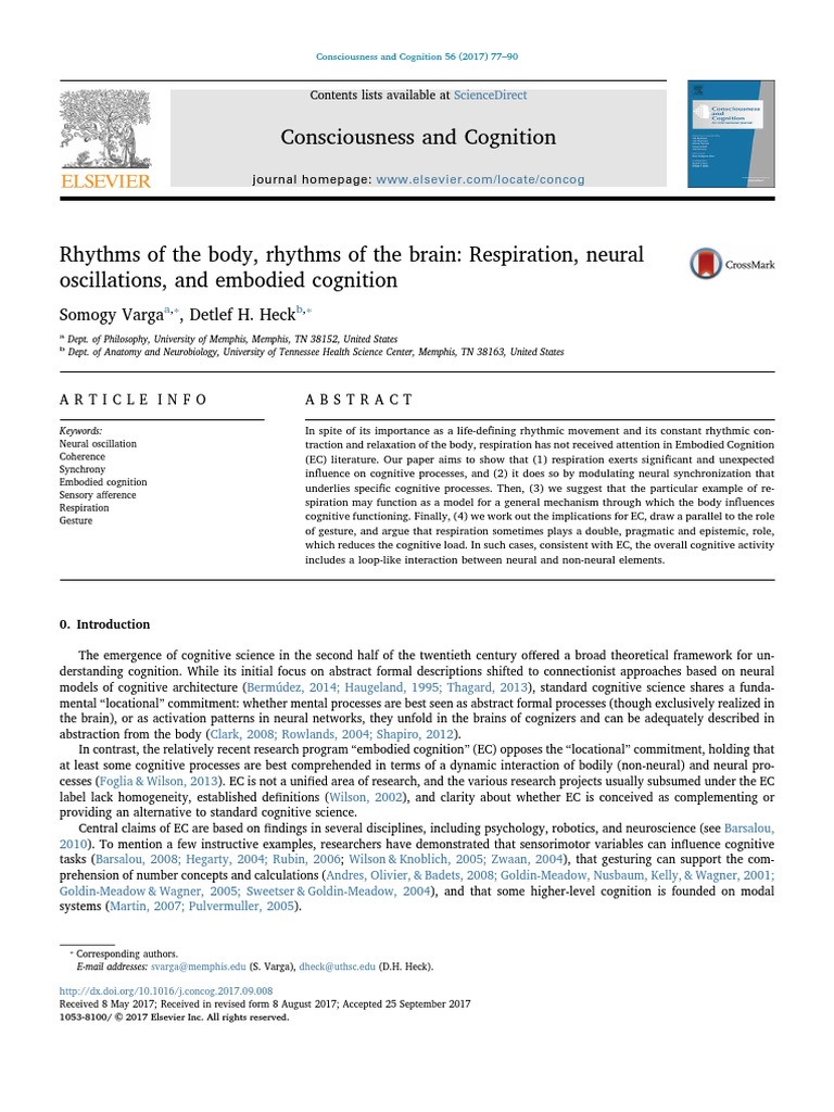 Rhythms of The Body, Rhythms of The Brain | PDF | Neural Oscillation ...