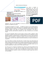 19-Agosto-2020-Infecciones Bacterianas de La Piel PDF