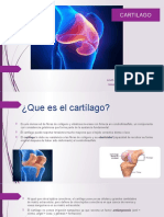 Presentacion Cartilago
