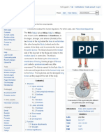 Tibia: This Article Is About The Human Leg Bone. For Other Uses, See