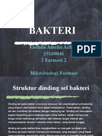 Bakteri Mikro