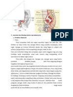 Anatomi dan fisiologi sistem reproduksi pria