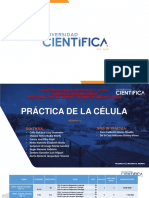 1 Práctica de Células y Organelas - 2020 2 PDF