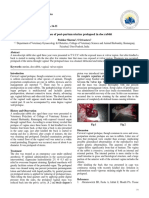 Rare case of post-partum uterine prolapse in doe rabbit