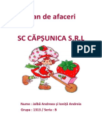 Plan de Afaceri SC CĂPȘUNICA S.R.L