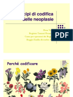 04Vicari_codifica.pdf