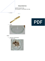 Praktikum 1 Bocript