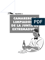 360758588-TEMARIO-Limpiador.pdf