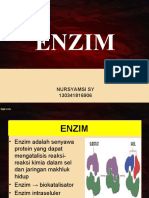ENZIM